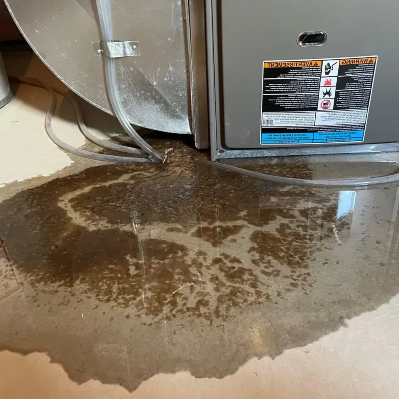 Pipe Burst and Leak Restoration in Saint Paul, NE