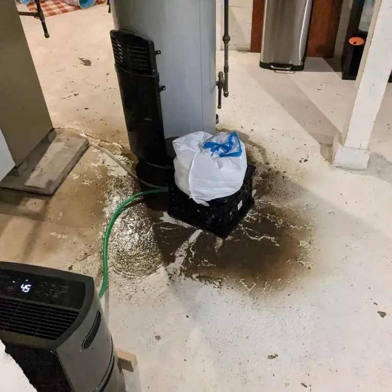 Sewage Backup Cleanup Service in Saint Paul, NE